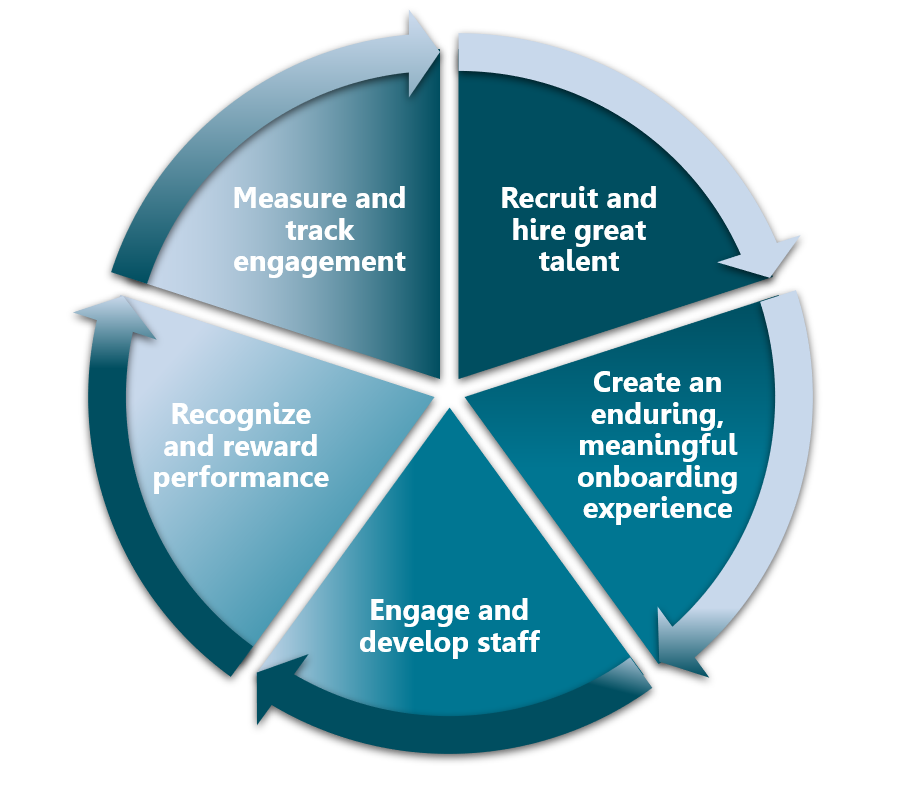 staff compentency cycle